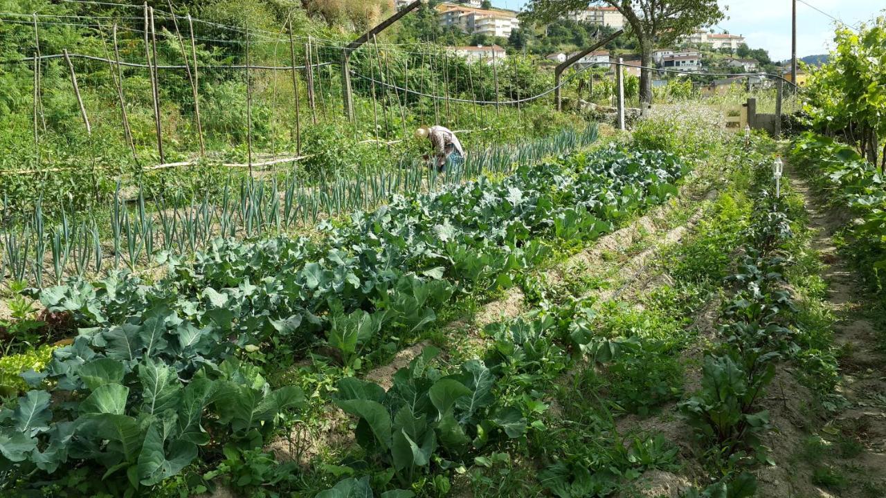 Verde Agua Agroturismo E Agricultura Biologica Couto Bagian luar foto