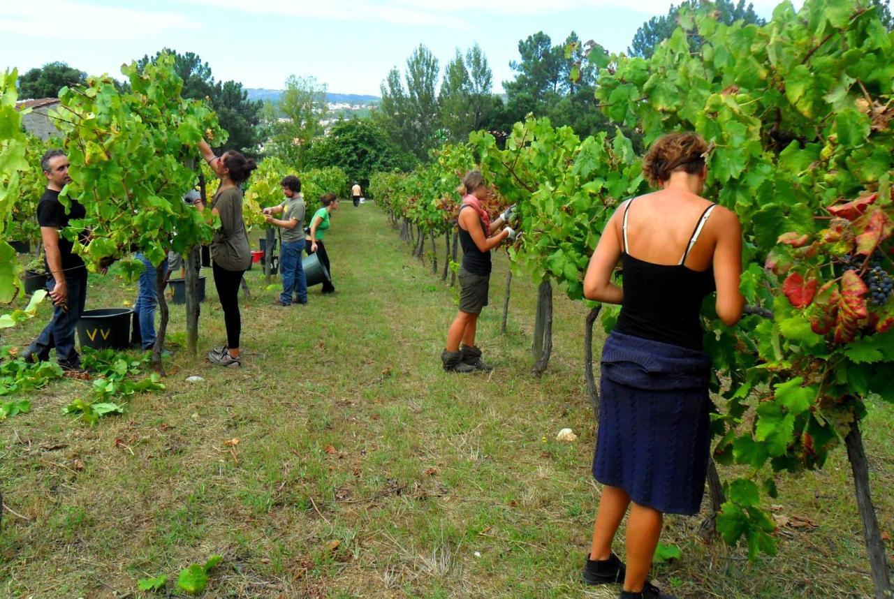 Verde Agua Agroturismo E Agricultura Biologica Couto Bagian luar foto