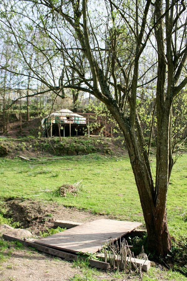 Verde Agua Agroturismo E Agricultura Biologica Couto Bagian luar foto